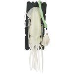 Giant Rig (met Flashlight) Aquantic...10/0+12/0