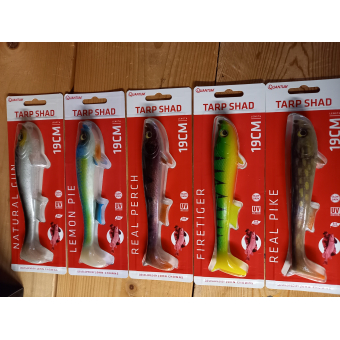 Tarp Shad 19cm (Quantum)